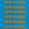 cherryblossoms.jpg