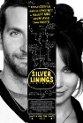 silverliningsplaybook.jpg